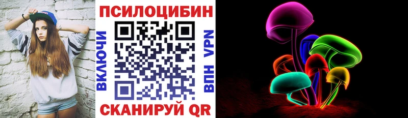 магазин    Норильск  Галлюциногенные грибы Cubensis 
