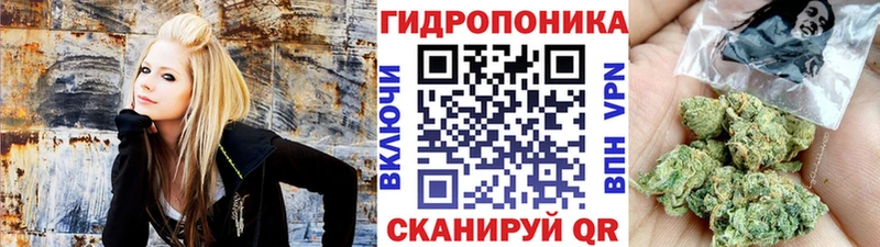 Шишки марихуана планчик  ссылка на мегу   Норильск 